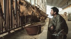 Film Korea Cattle Run Siap Tayang Usai Rampung 5 Tahun Lalu