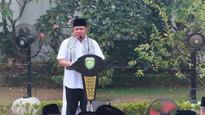 Gubernur Sumatera Selatan