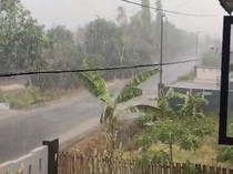 Soppeng Diguyur Hujan Usai 5 Bulan Dilanda Kekeringan