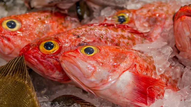 Ikan