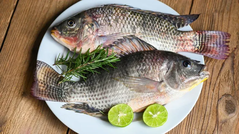 Ikan