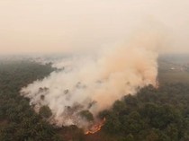 21.369 Hotspot Tercatat di Kobar, Karhutla Diprediksi Masih Lanjut November