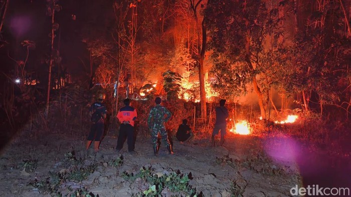 Karhutla di Ponorogo
