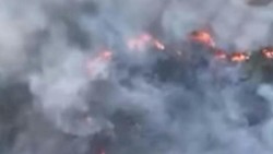 Gunung Ciremai Kembali Terbakar, Asap Pekat Selimuti Kawasan Hutan