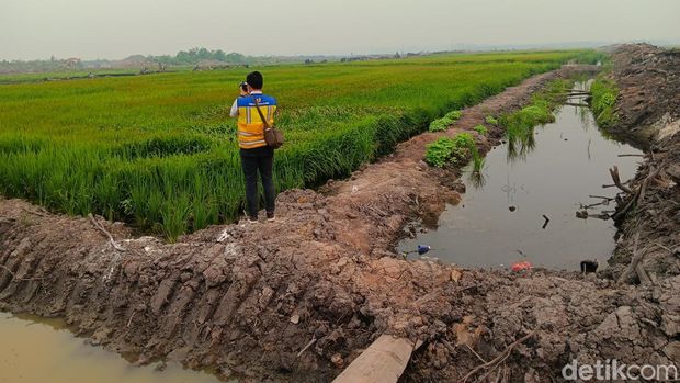 Menteri PU cek pusat produksi pangan di Wanam Merauke Menteri Pekerjaan Umum (PU), Dody Hanggodo mengatakan di wilayah Merauke pemerintah tengah membangun Kawasan Sentra Produksi Pangan, Energi, dan Air Nasional (KSPEAN).