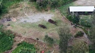Terpantau Drone, OPM di Intan Jaya Bawa Senpi saat Upacara