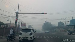 Dana Karhutla Kobar Rp 19 M Tak Bisa Langsung Cair, Tunggu Reviu Inspektorat