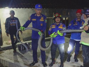Jabar Hari Ini: Puluhan Pohon Ganja Tumbuh di Rooftop Rumah Warga Bandung