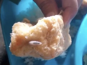 Bantahan Menohok SPPG di Banyuwangi Soal Viral Tahu MBG Berbelatung