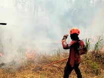 Kebakaran Gunung Kawinajang Padam, Luas Area Terbakar Capai 3 Hektare