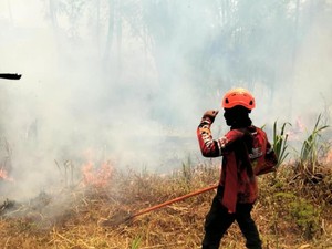 Kebakaran Gunung Kawinajang Padam, Luas Area Terbakar Capai 3 Hektare