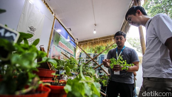 Festival Jejak Pangan Lestari Ajak Warga Kenali Pangan Berkelanjutan