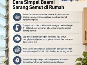 4 Cara Simpel Basmi Sarang Semut di Rumah, Bisa Pakai Ampas Kopi!