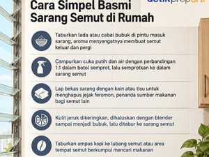 4 Cara Simpel Basmi Sarang Semut di Rumah, Bisa Pakai Ampas Kopi!