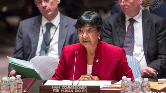 Navi Pillay, UN High Commissioner for Human Rights, addresses the Security Council debate on conflict prevention.