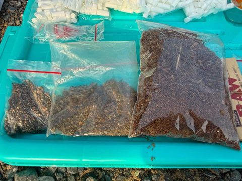 Pelaku dan barang bukti ganja hasil operasi Satgas Pamtas di Nunukan. (dok Satgas Pamtas RI-Malaysia Yonkav 8/NSW/2 Kostrad)