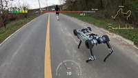 Robot Anjing Ini Bikin Takjub, Bisa Lari Maraton 42 Km Tanpa Ngecas