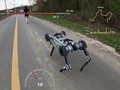 Robot Anjing Ini Bikin Takjub, Bisa Lari Maraton 42 Km Tanpa Ngecas