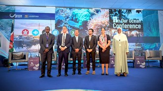 RI Dapat Tambahan Kuota Tangkapan Tuna Sirip Biru Selatan Sebesar 25%