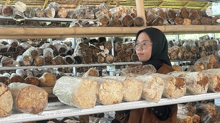 Siti Aisyah, pemilik Mushiro Jamur. (Hafizna Irasa Hasibuan/detikSumut)