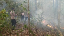 17 Titik Panas Terdeteksi di Way Kambas, 8 Hektare Lahan Berhasil Dipadamkan