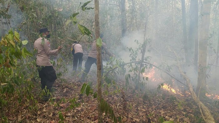 Tim gabungan saat memadamkan karhutla di Way Kambas