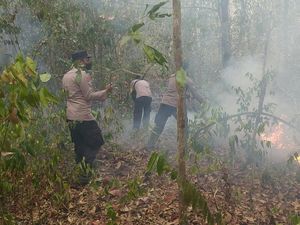 17 Titik Panas Terdeteksi di Way Kambas, 8 Hektare Lahan Berhasil Dipadamkan