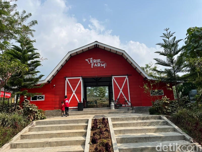 Erif Farm