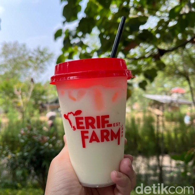 Bukan Cuma Main Sama Hewan, Peternakan di Cisarua Ini Punya Menu Susu Segar