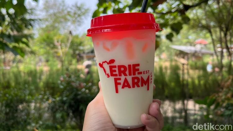 Bukan Cuma Main Sama Hewan, Peternakan di Cisarua Ini Punya Menu Susu Segar