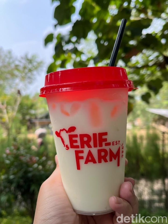 Bukan Cuma Main Sama Hewan, Peternakan di Cisarua Ini Punya Menu Susu Segar
