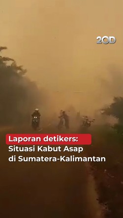 Video Laporan dari detikers: Separah Ini Kabut Asap di Sumatera-Kalimantan