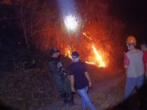 Karhutla di Gunung Klabat Meluas, 651 Hektare Lahan Hangus
