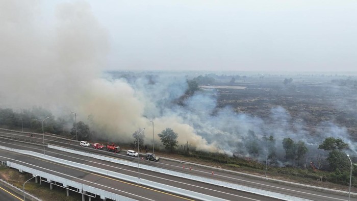 Karhutla di Pemulutan, dekat area Tol Palindra.