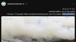 Keren! Deretan Selebritas Masih Berisik soal Karhutla di Kalimantan-Sumatera