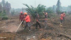 Karhutla Hanguskan 20 Hektare Lahan di Mamuju, Api Belum Padam