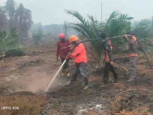 Karhutla Hanguskan 20 Hektare Lahan di Mamuju, Api Belum Padam
