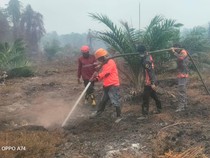 Karhutla Hanguskan 20 Hektare Lahan di Mamuju, Api Belum Padam