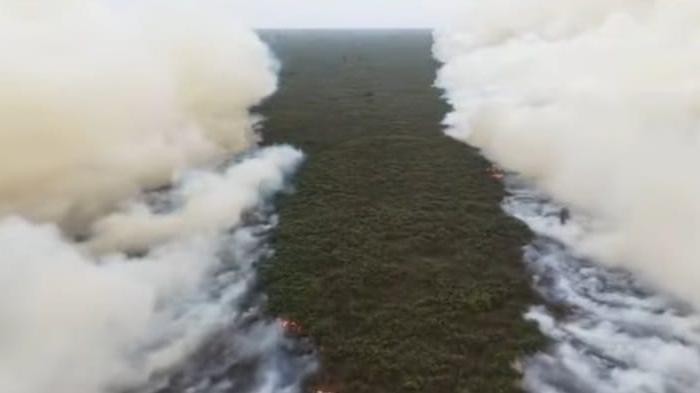 Kerhutla TN Tanjung Pinang (dok. Instagram wong.utan)