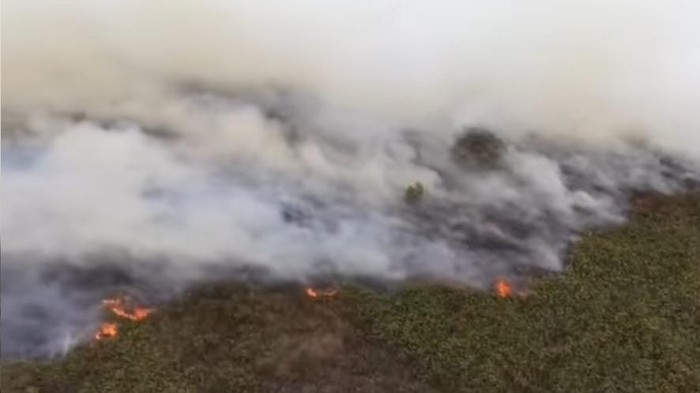 Lahan milik warga di Kotawaringin Barat terbakar.