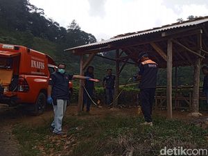 Dilaporkan Hilang, Sopir Taksi Online Ditemukan Terkubur di Kebun Teh Sumedang