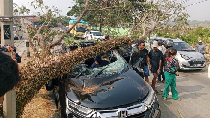 Mobil HR-V tertimpa pohon di Barru.