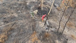 Ratusan Hektare Lahan di 2 Lokasi OKI Belum Padam Sebulan Lebih