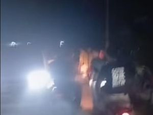 Viral Petugas Keamanan Perusahaan diduga Tembak Warga Gegara Berondolan