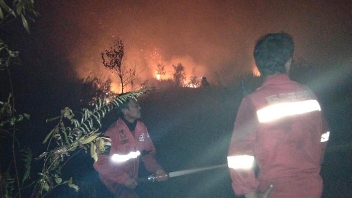 Petugas Manggala Agni memadamkan api yang membakar lahan di Kalbar.