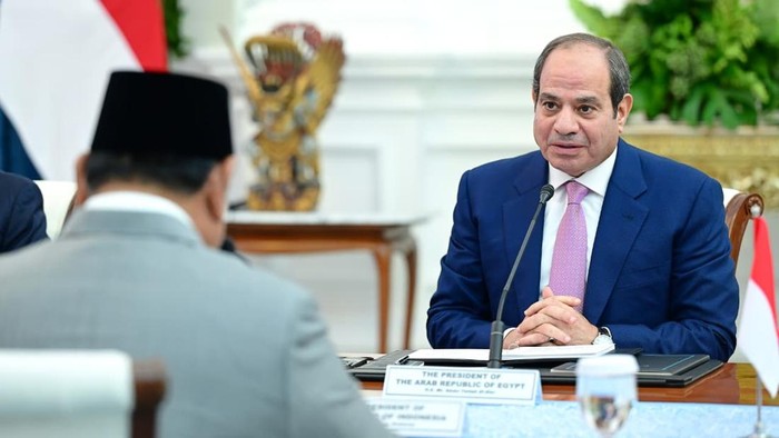 Apresiasi Kairo untuk Jakarta dalam Misi Perdamaian Timur Tengah (2)
