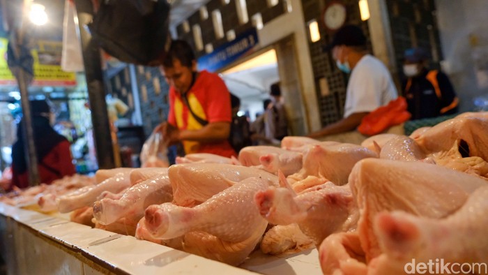 Pemerintah mewaspadai potensi kenaikan harga sejumlah bahan pangan di tengah fenomena El Nino yang dapat memengaruhi produksi dan pasokan komoditas. Cabai rawit, cabai merah, dan daging ayam ras menjadi beberapa komoditas yang perlu mendapat perhatian karena berpotensi mengalami tekanan harga. Kondisi ini menjadi perhatian untuk menjaga stabilitas harga pangan dan daya beli masyarakat.