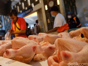 Apakah Menyembelih Ayam Cukup dengan Bismillah?