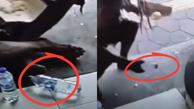 Deteksi konten AI 'ODGJ Heroik' Deteksi konten AI 'ODGJ Heroik'