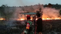 127 Karhutla Terjadi di Balikpapan Sepanjang 2026, 81 Hektare Lahan Terbakar